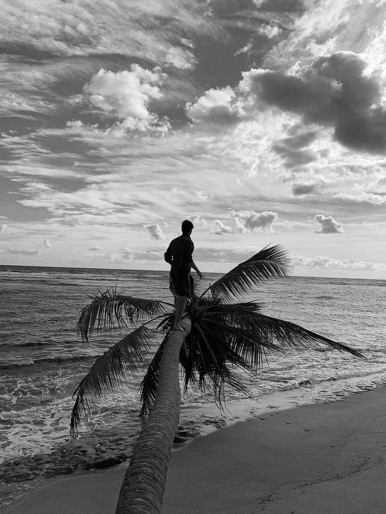 Palme am Strand