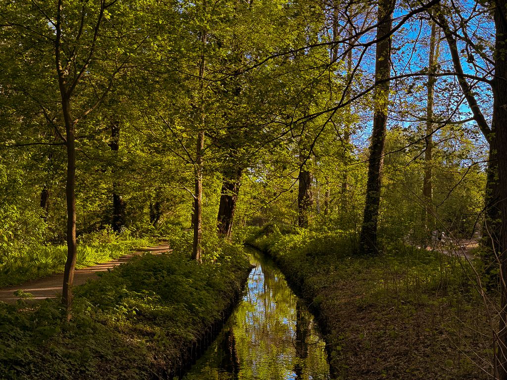 Waldkanal