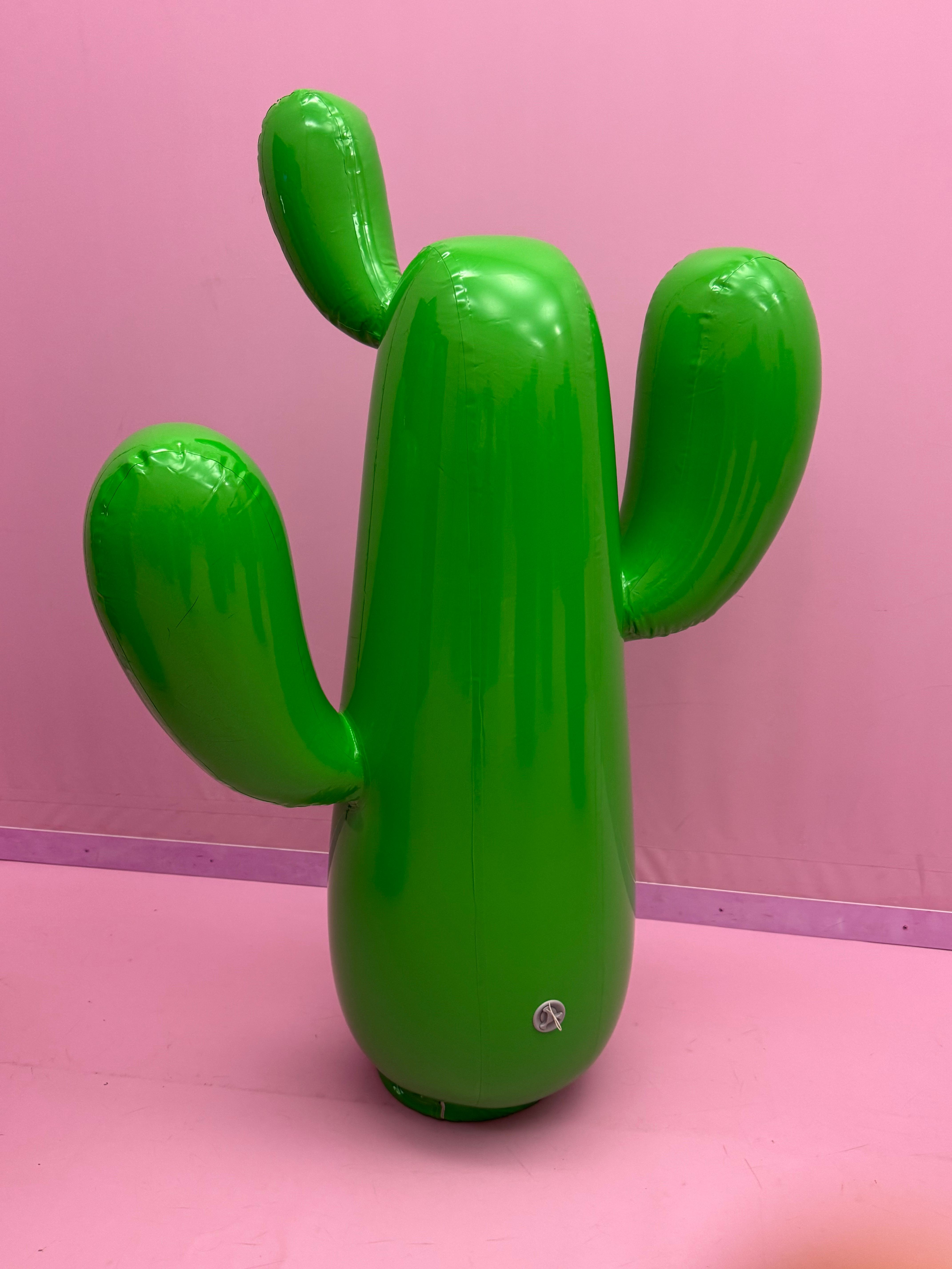 Grüner Kaktus