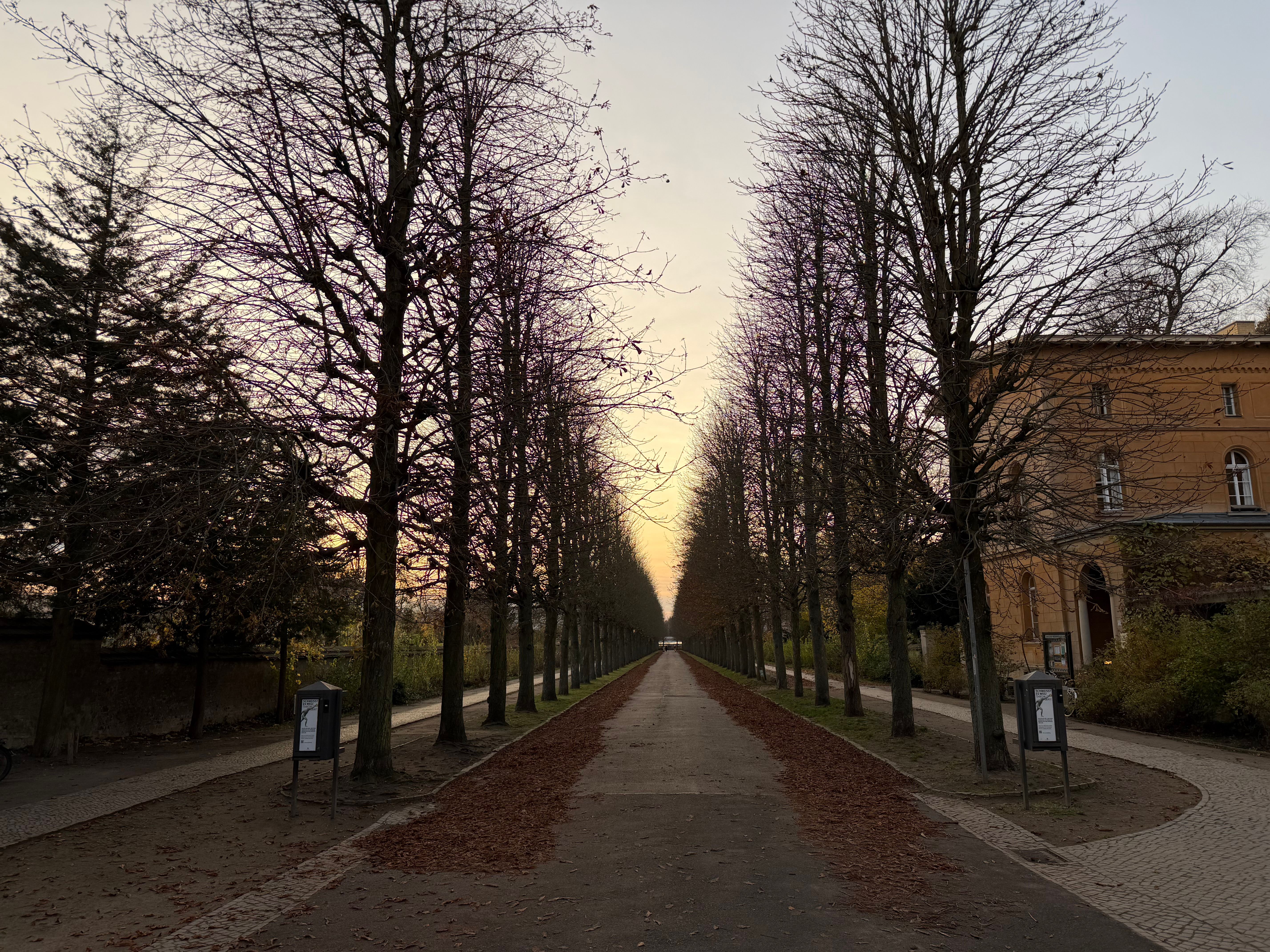 Allee